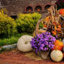 Pumpkin Pile