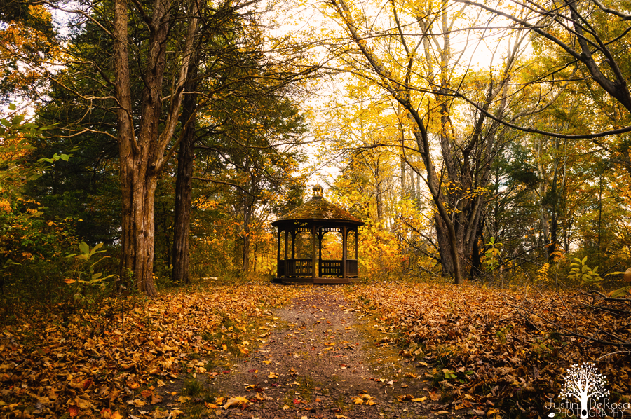 Time Of The Falling Leaves