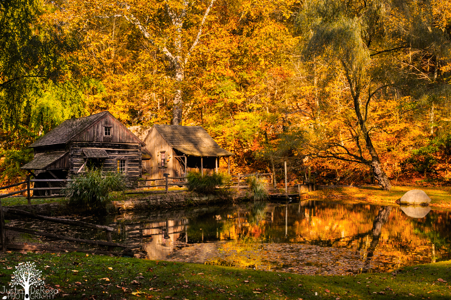 In The Autumn Woods