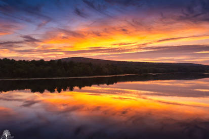 The Mirror's Reflection