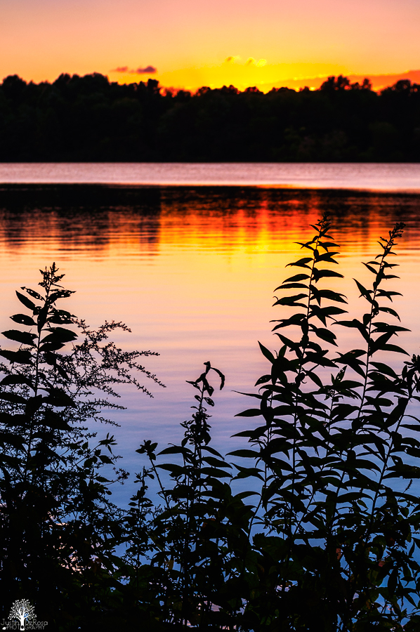 Golden Horizons