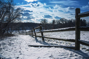 Frozen Farm