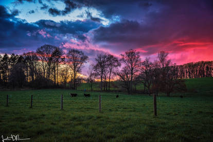 Sunset on the farm