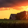 The sun setting behind a farm in Illinois