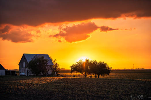 Farm Life