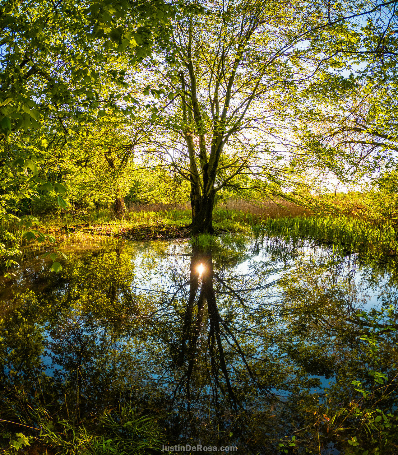Light Emerging emerging light from darkness by JustinDeRosa on DeviantArt