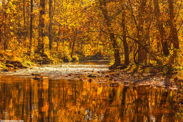 flowing autumn creek