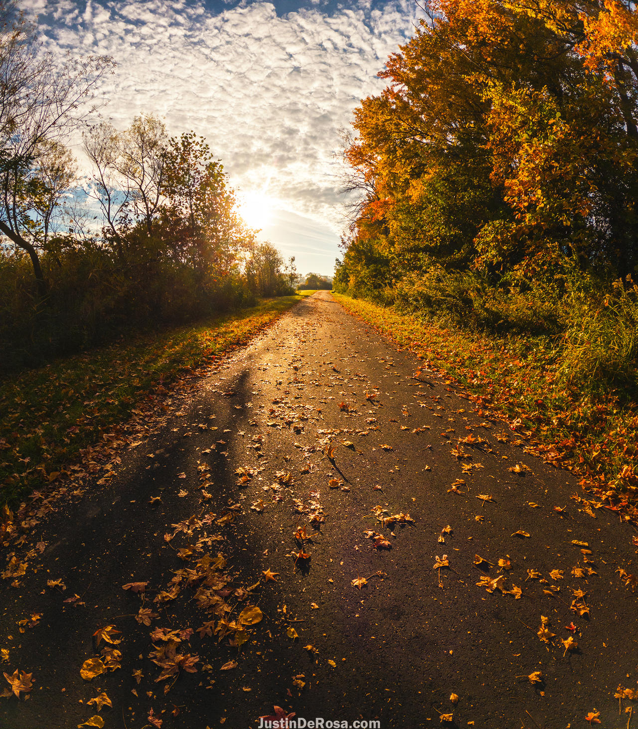 a perfect fall morning 2 by JustinDeRosa on DeviantArt
