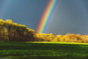A vibrant rainbow over Fox Chase Farm