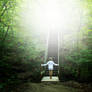 Stairway in the green
