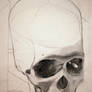 Skull study 2
