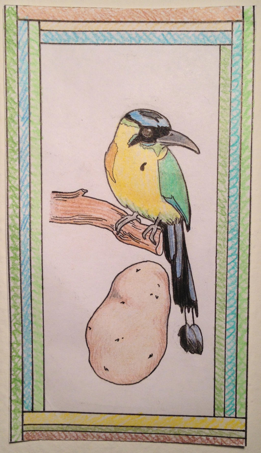 Potato and Motmot #2