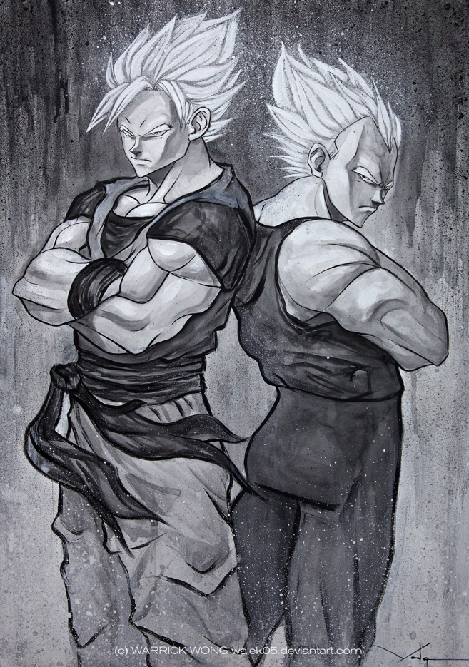 Goku and Vegeta