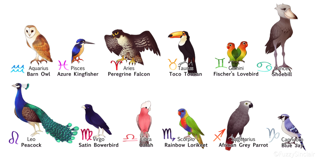 Us Sign Bird Zodiac Signs- Birds by FuzzySinclair on DeviantArt