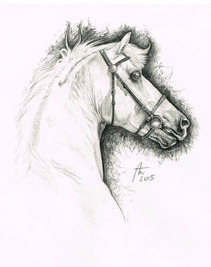 Sweet Silver - traditional drawing by Pencil--Pony Sweet Silver - traditional drawing by Pencil--Pony