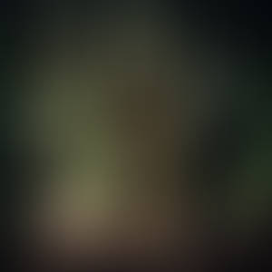 Forbidden Zone - Aftermath