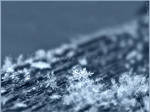 Frosty by Irena-N-Photography