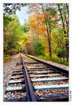 Train track by Irena-N-Photography