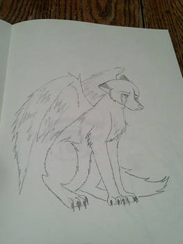 Sad Winged Wolfy