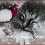 Santa kitty ACEO Christmas giveaway