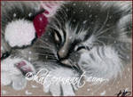 Santa kitty ACEO Christmas giveaway by Katerina-Art