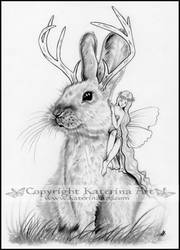 Jackalope and Fairy