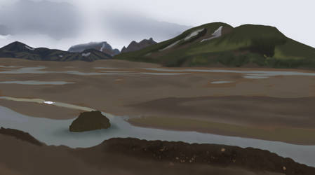 Icelandic Mudflat study