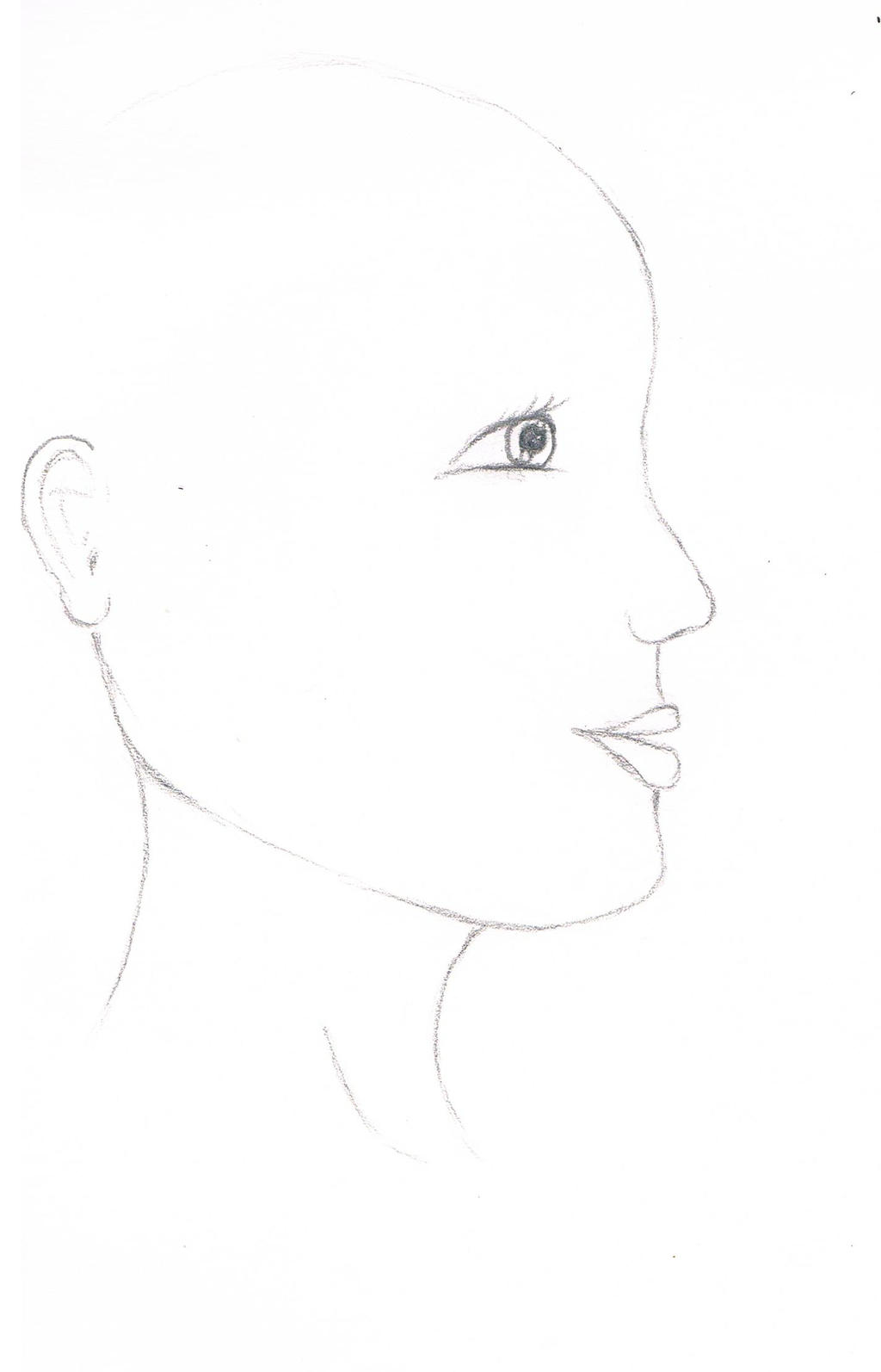 Side Face Outline by Doriskica on DeviantArt