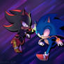 Sonic and Shadow hedgehogs VS
