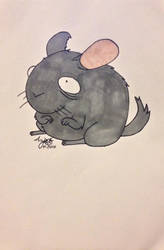 .:Chinchilla:.