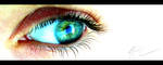 The Eye by geci