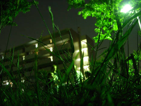 Grass Saitama