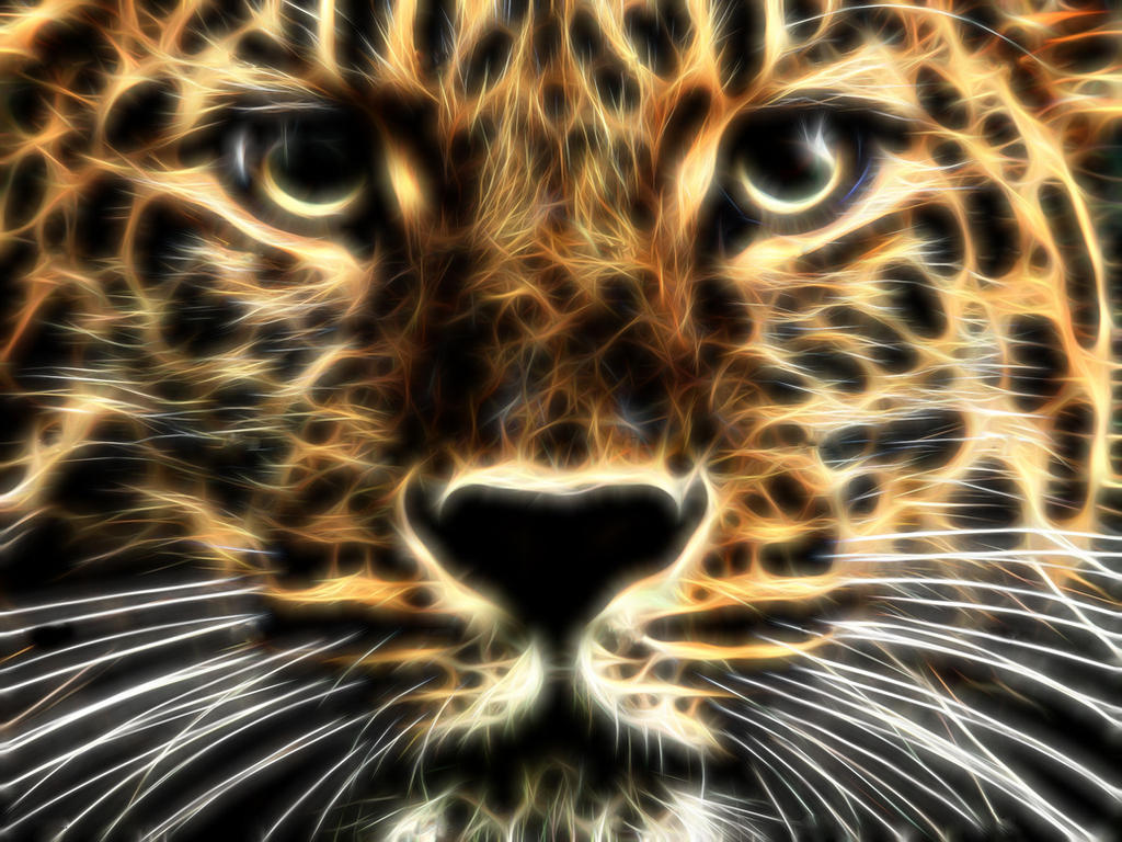 Fiendish Leopard fragiliusLeopard by daddle88 on DeviantArt