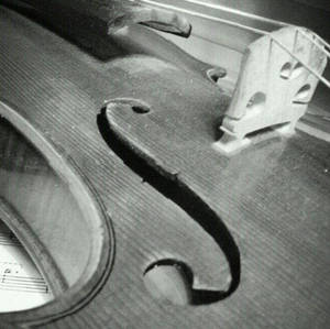 Violin Black and White