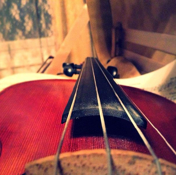 Violin Close-up