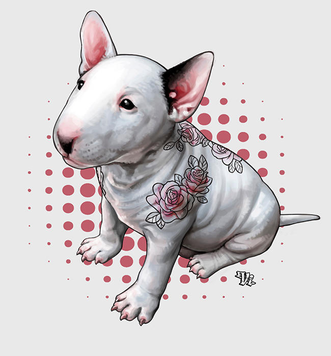 bull by Amap0la bull by Amap0la