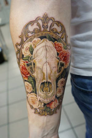 bear skull by Amap0la bear skull by Amap0la