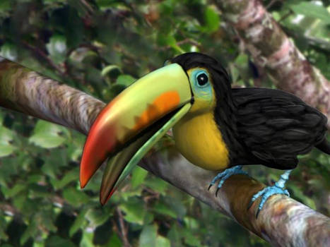 Toucan