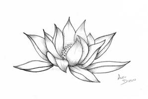 Lotus Flower