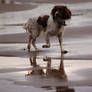 Ella on the beach, again