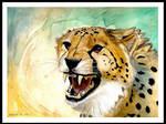 Cheetah's Anger by CatBeast17