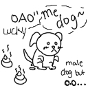 dog lucky