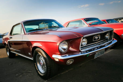Old Mustang
