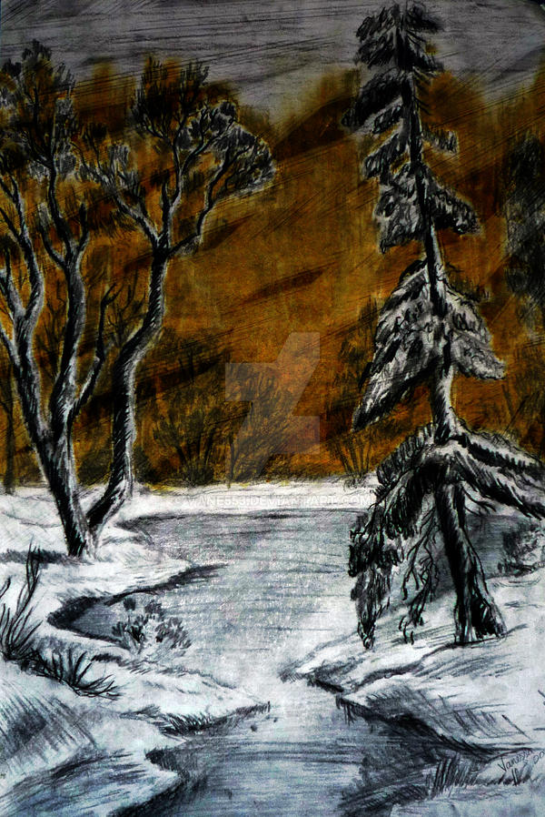 Winter Forest Landscape