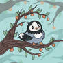 Pokemon Starly