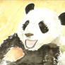 PANDAAA