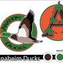 Anaheim Ducks - Rebranded