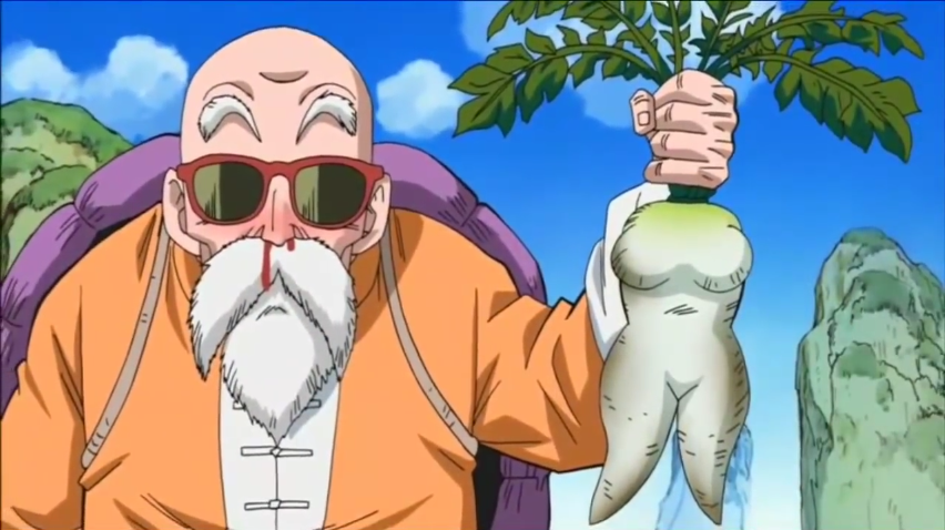 Master Roshi Back Side Master Roshi by neo-sunglasses on DeviantArt