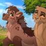 Introducing Toa