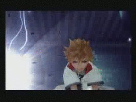 Roxas's Computer Issues